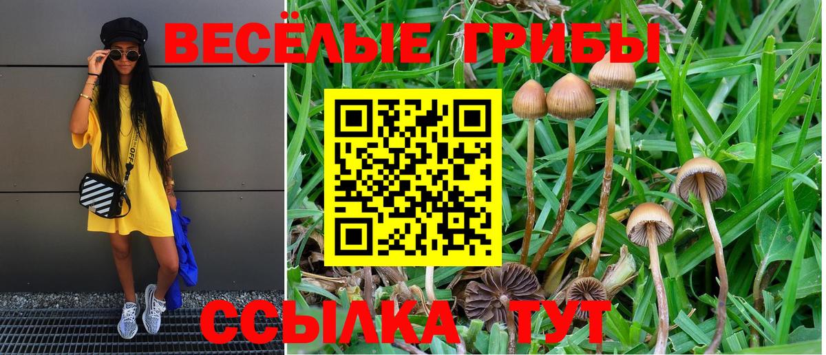 Новочебоксарск  наркошоп  Вход с VPN  Псилоцибиновые грибы MAGIC MUSHROOMS 