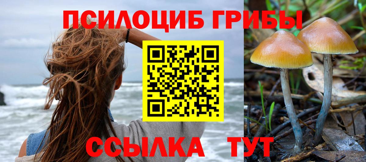 Псилоцибиновые грибы ЛСД Новочебоксарск